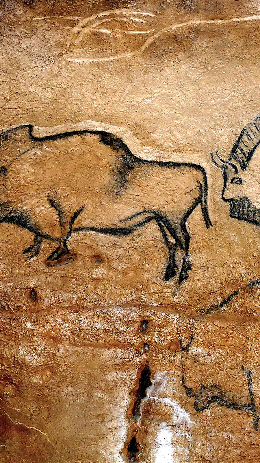 Cueva de la Covaciella