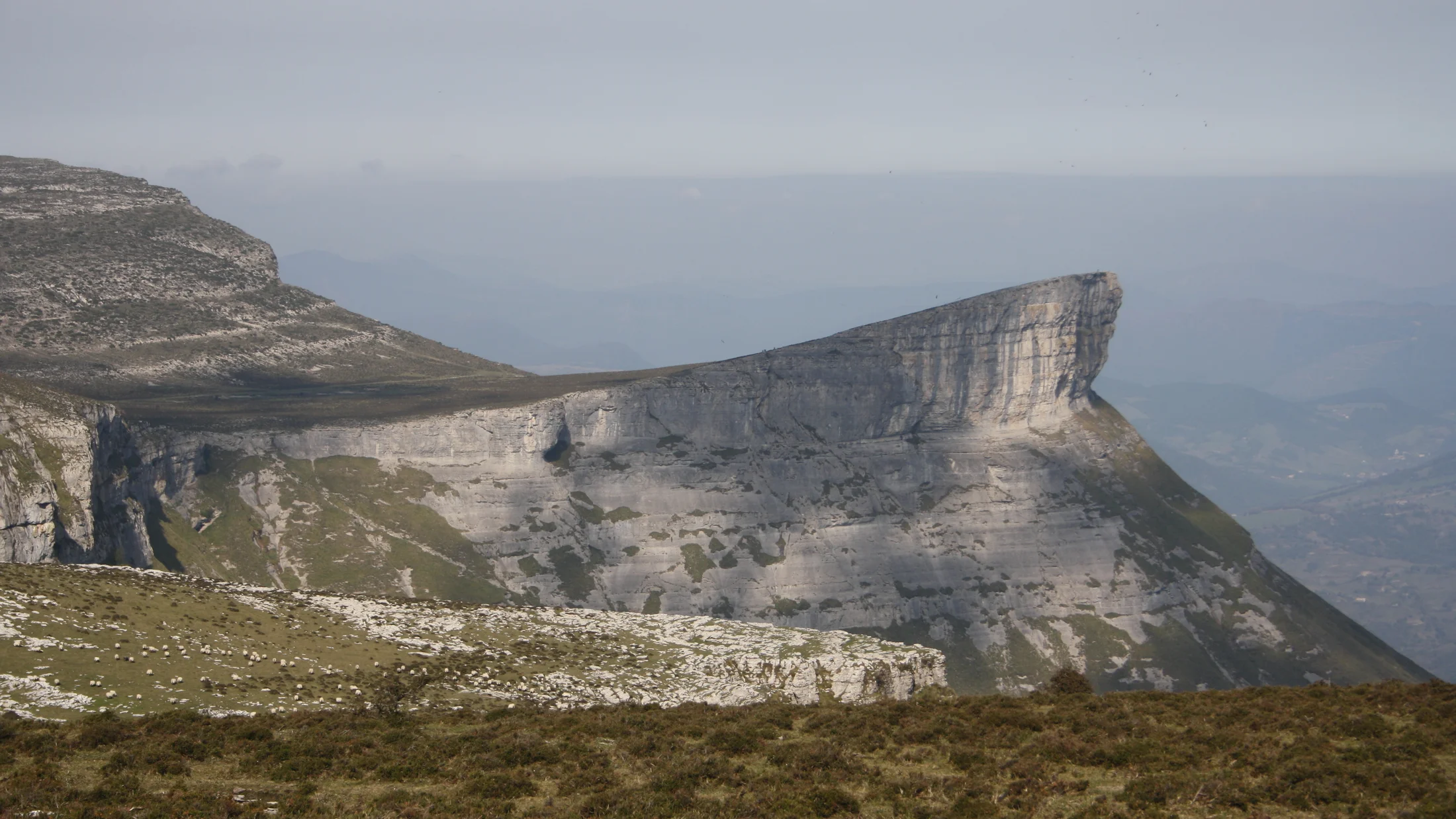 Imagen de Región: cmcjdcuiu001tik8pfpe6fzig
