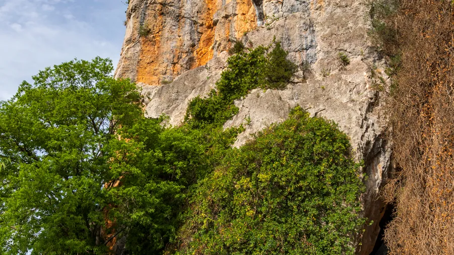 Imagen de Región: cmcjdcwdg002hik8pebjzfmis