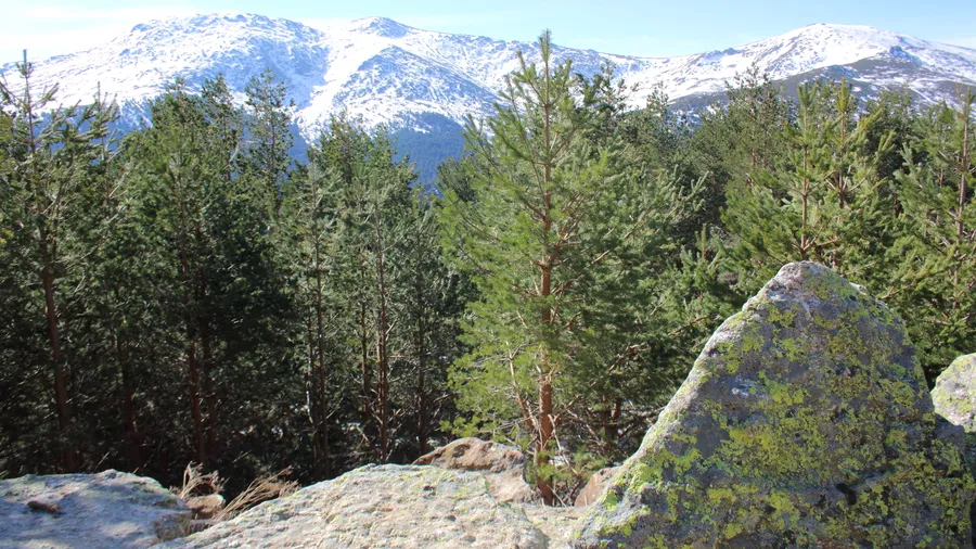 Imagen de Artículo de Blog: 15 free nature experiences you didn't know existed