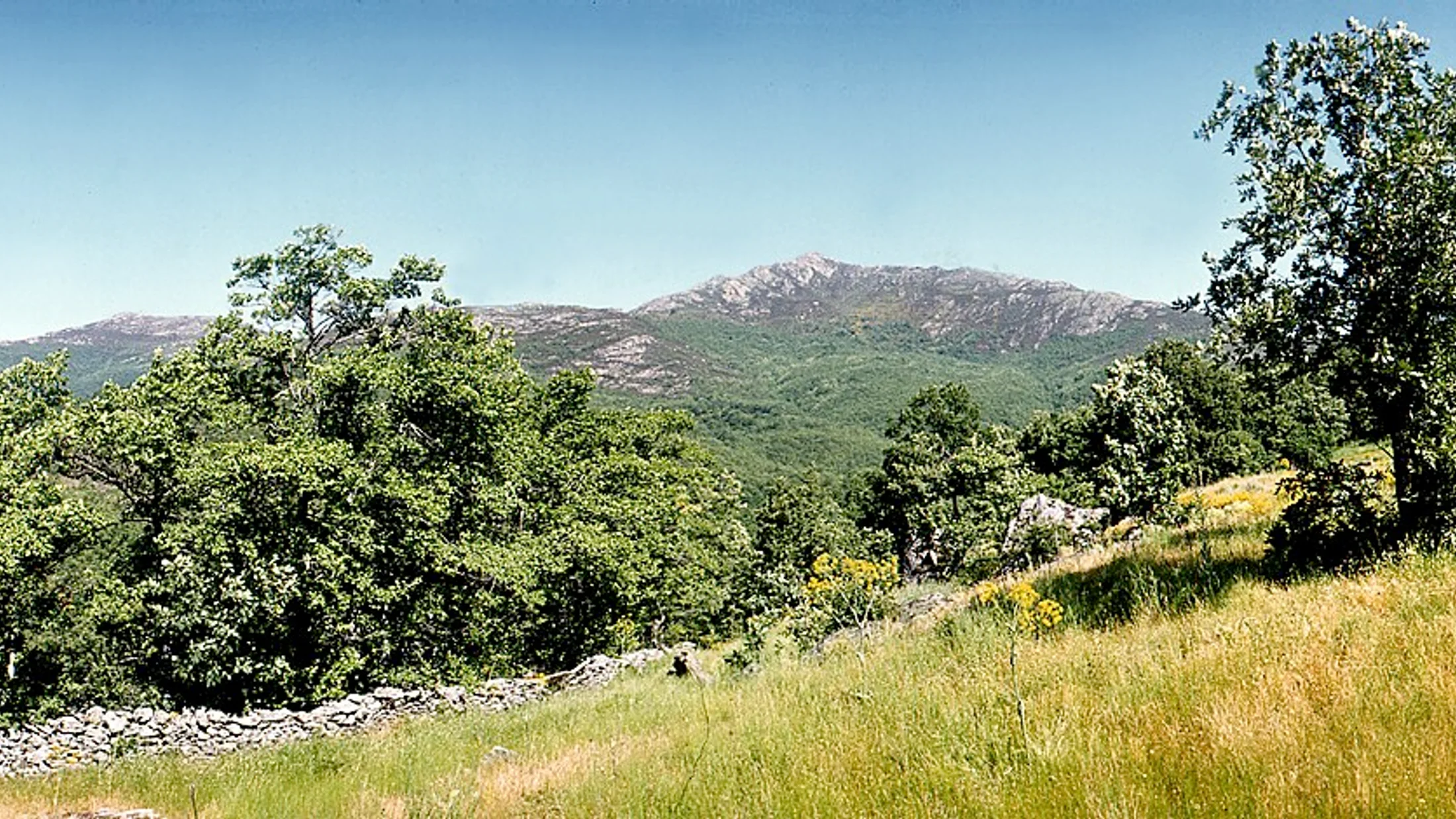 El Cardoso de la Sierra