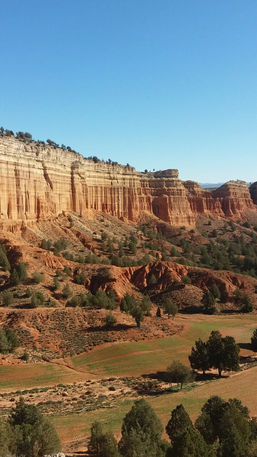 Rambla de Barrachina