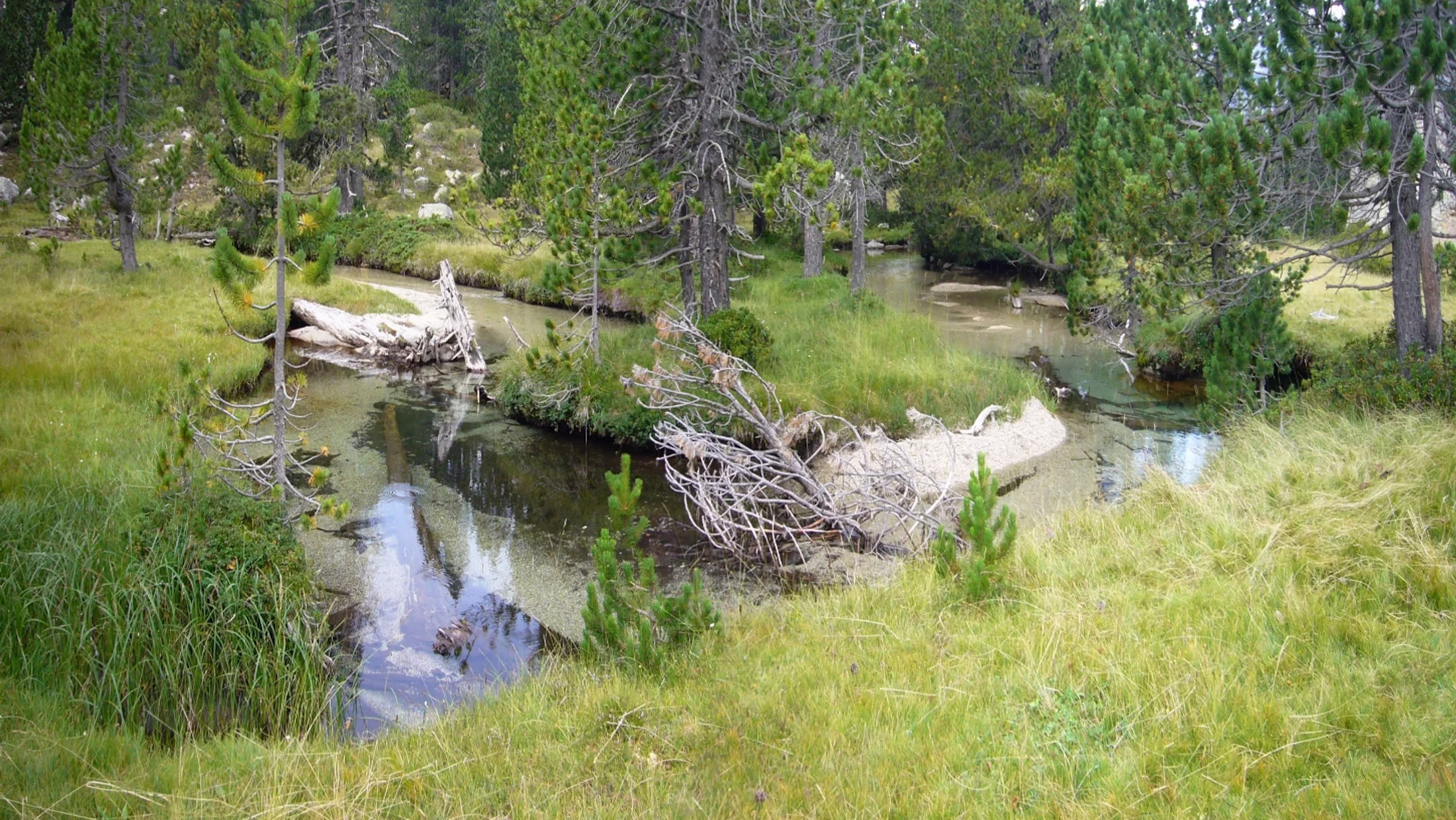 Imagen de Región: cmnxqcnmf008ohd9s8slsr931