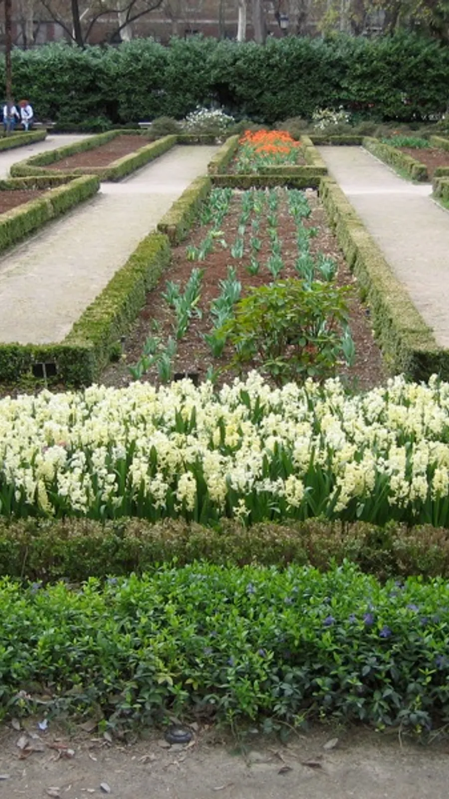 Royal Botanical Garden of Madrid