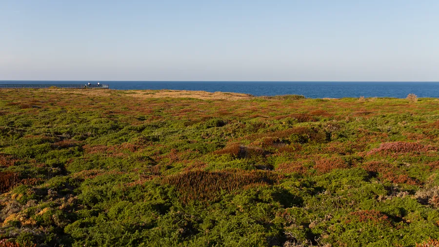 Mirador da Praia das Catedrais
