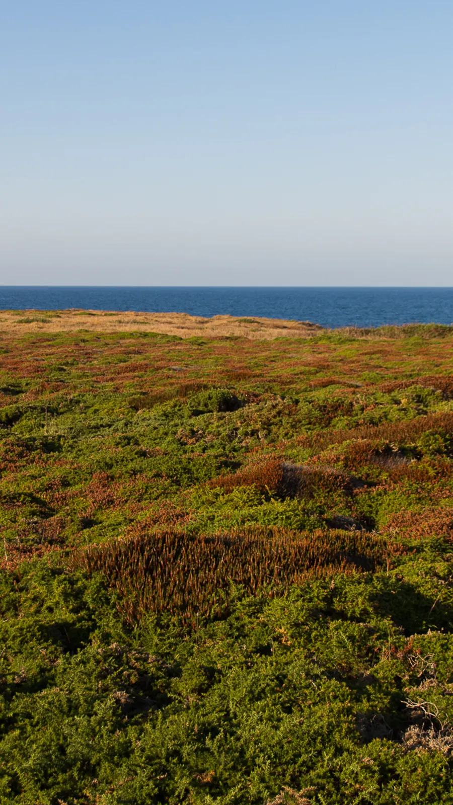 Cathedral Beach Viewpoint