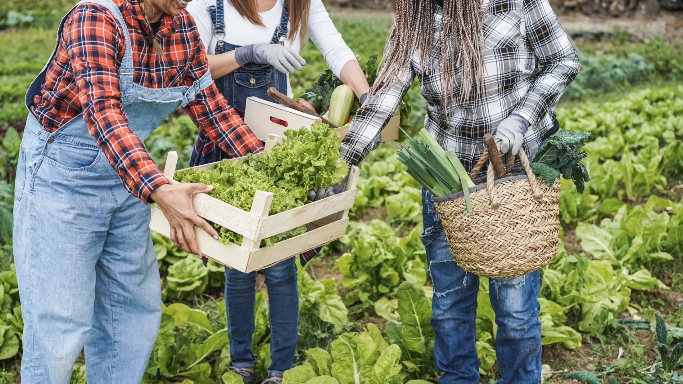 Ecological agriculture