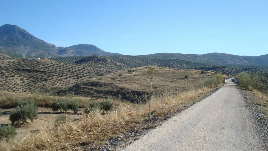 Vía Verde del Aceite