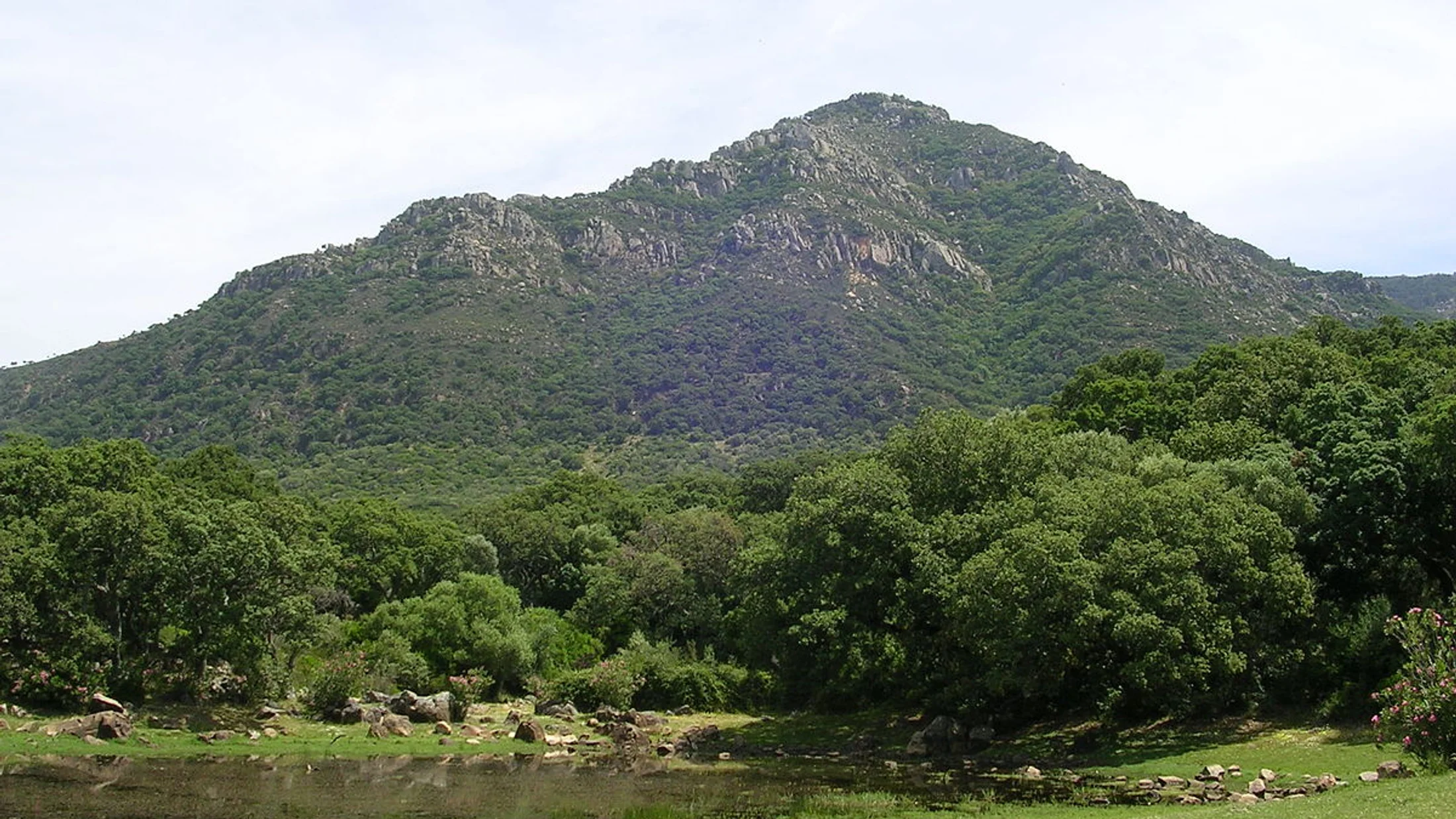 Alcalá de los Gazules