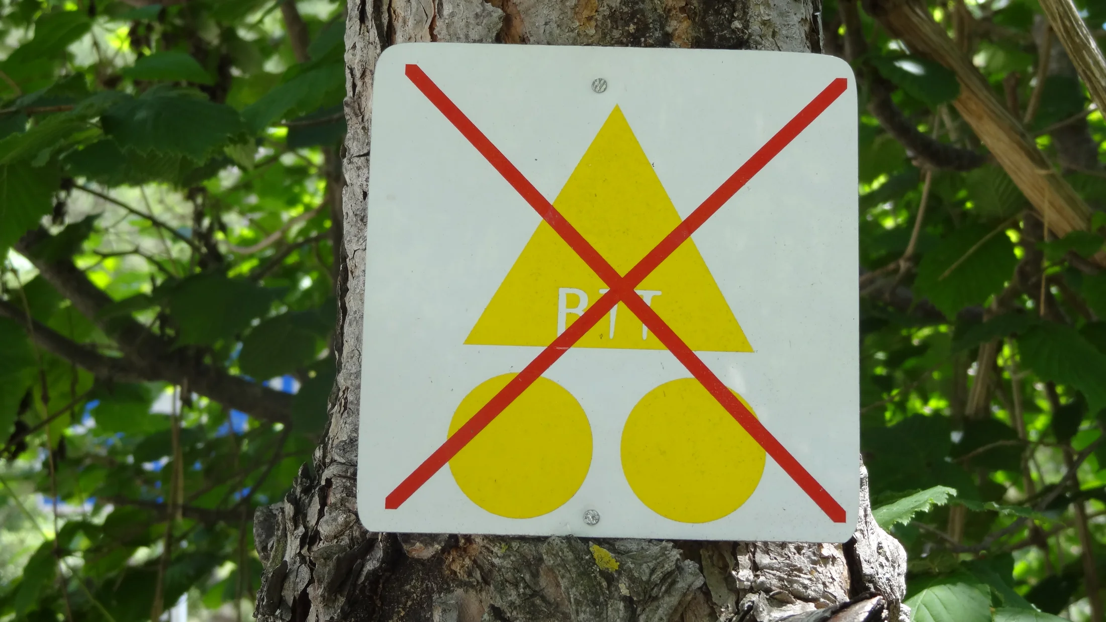 File:BTT Sign.JPG