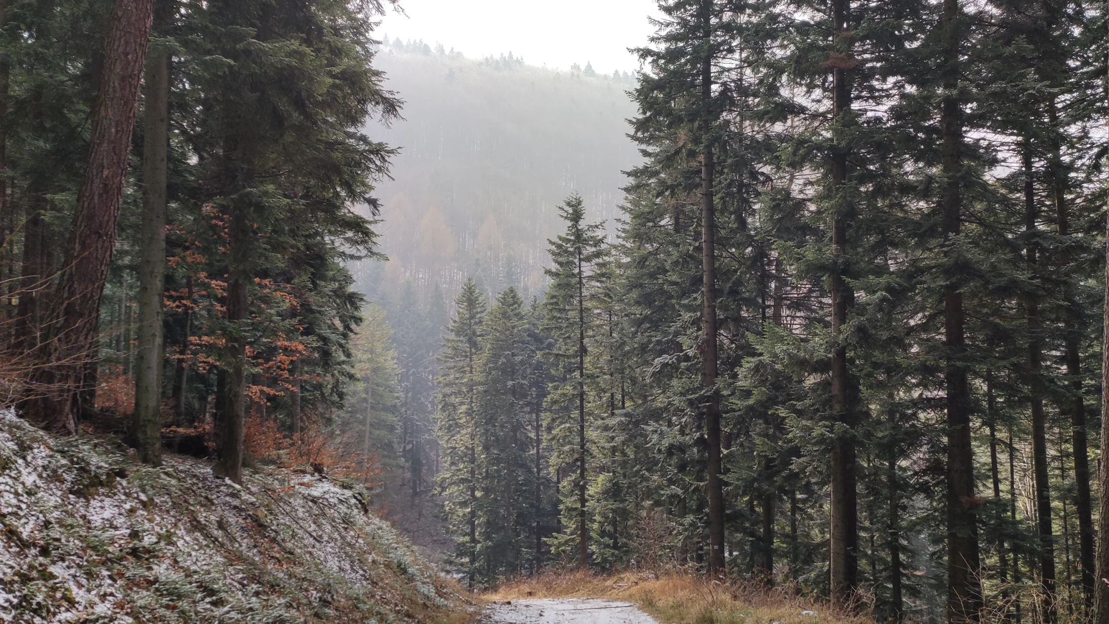 Imagen de Región: cmcjddbwq0089ik8pcqdc576r