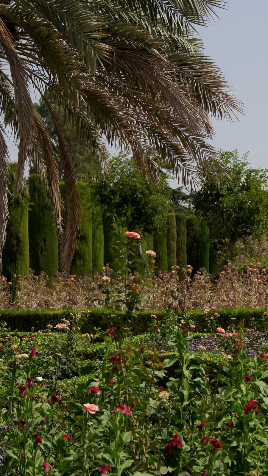 Alcázar of the Christian Monarchs