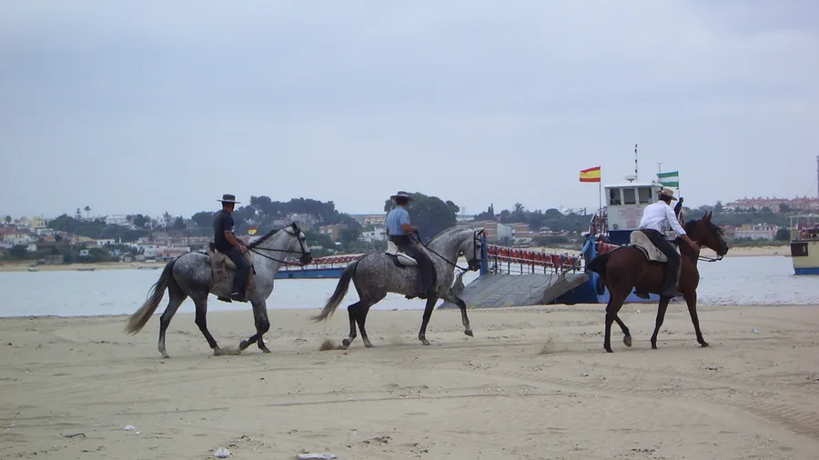 Horseback Riding Lessons for All Levels in El Rocío