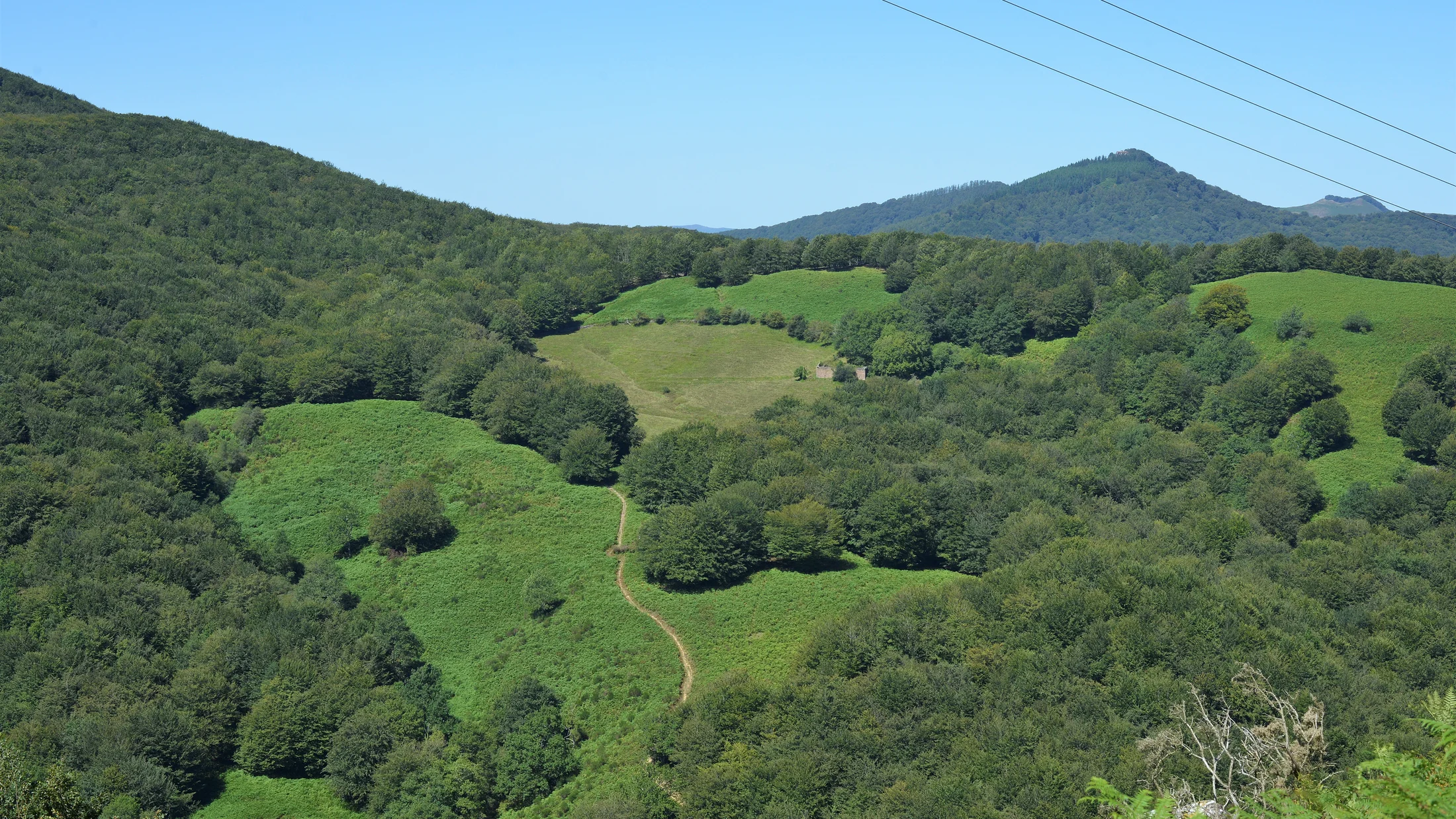 Imagen de Región: cmcjddbwq0089ik8pcqdc576r