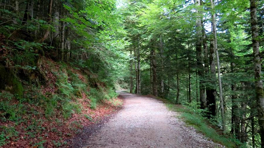 Imagen de Atracción: cmltp0g0v08r6u9ac19k12coz