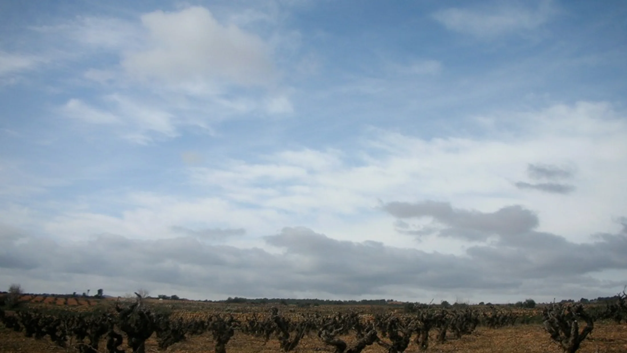 File:Parras de Requena.jpg