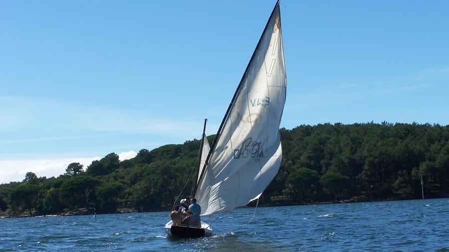 Isla de Cortegada