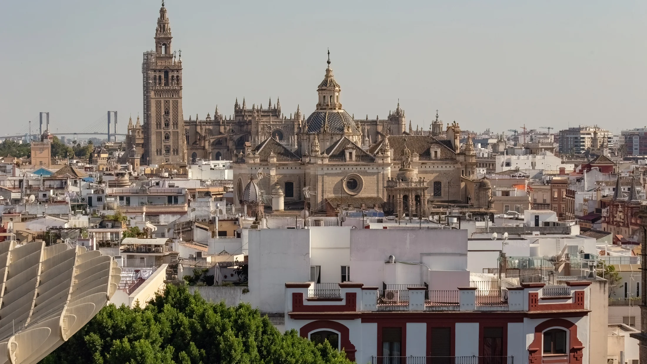 Imagen de Artículo de Blog: cmgfbut7a0000yriuncgsa1sx