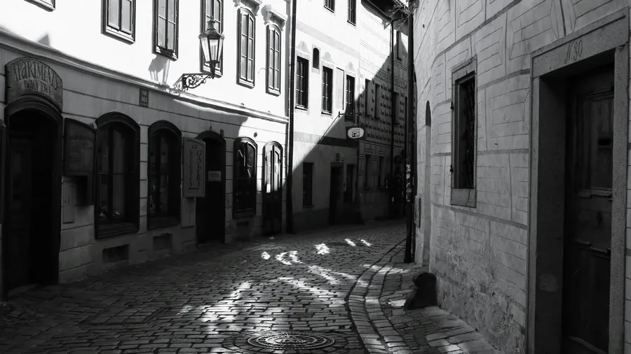 Una calle empedrada en un pueblo antiguo, con luz y sombras creando una escena pintoresca. Los edificios históricos y la encantadora calle capturan la esencia de una época pasada.