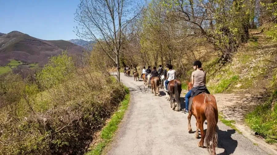 Ruta a caballo con paella en Merindades y Valle de Mena