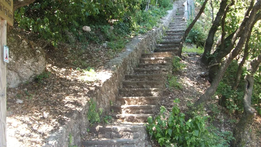 Imagen de Región: cmcja7cnv002yphyjewsfo8j9