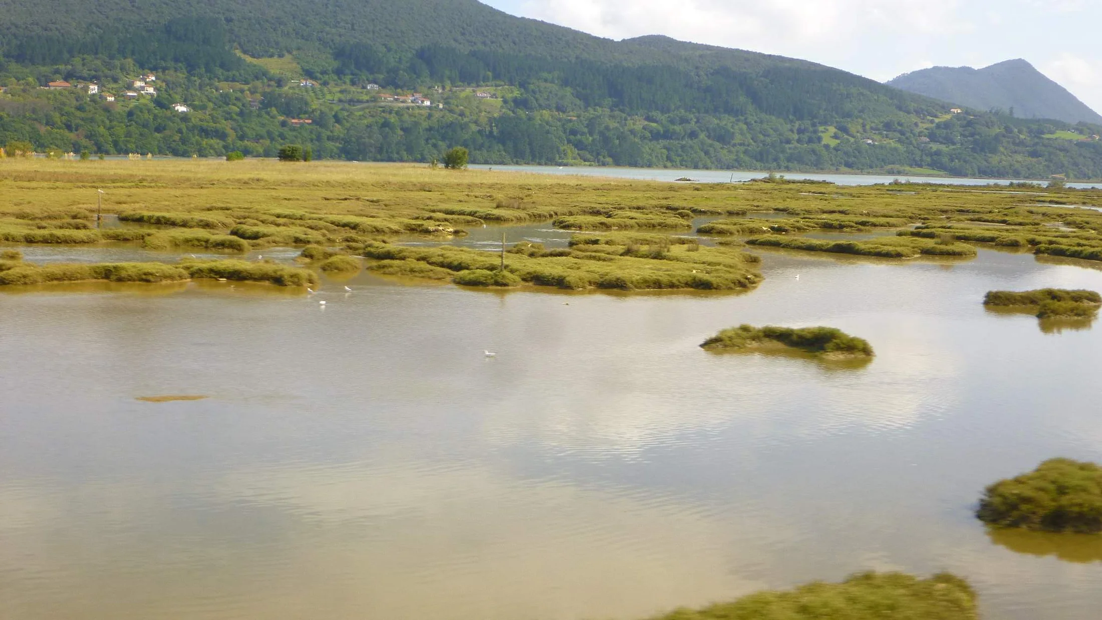 Imagen de Región: cmcjdctpe001hik8p2b7neh33