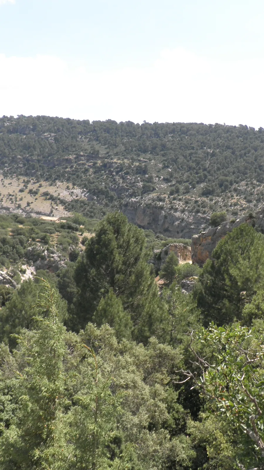 Sierra de Cazorla