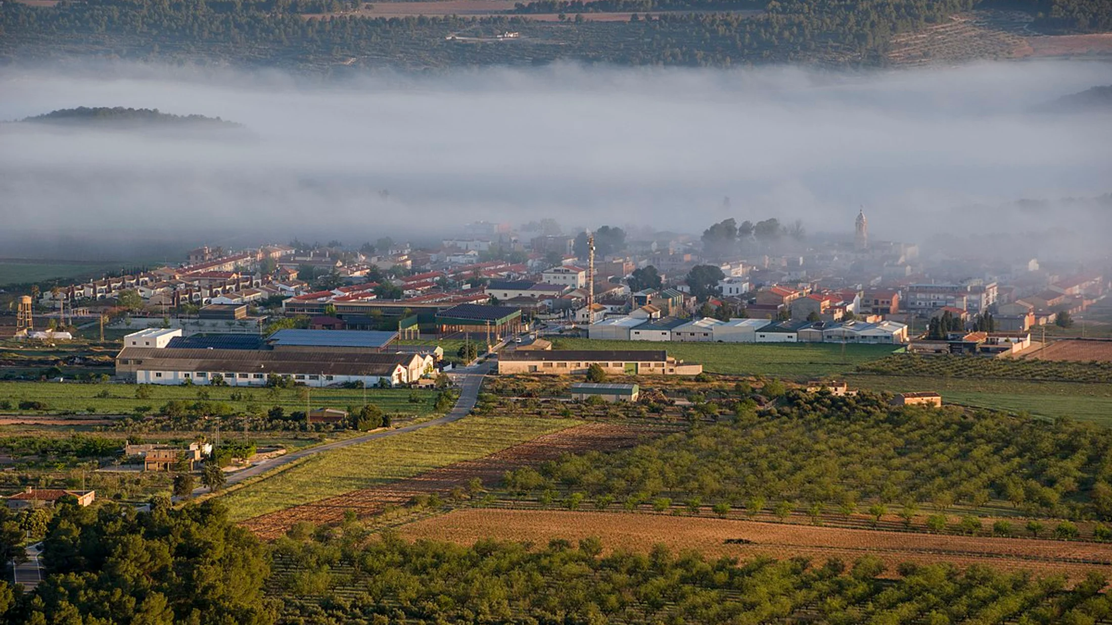 Fontanars dels Alforins