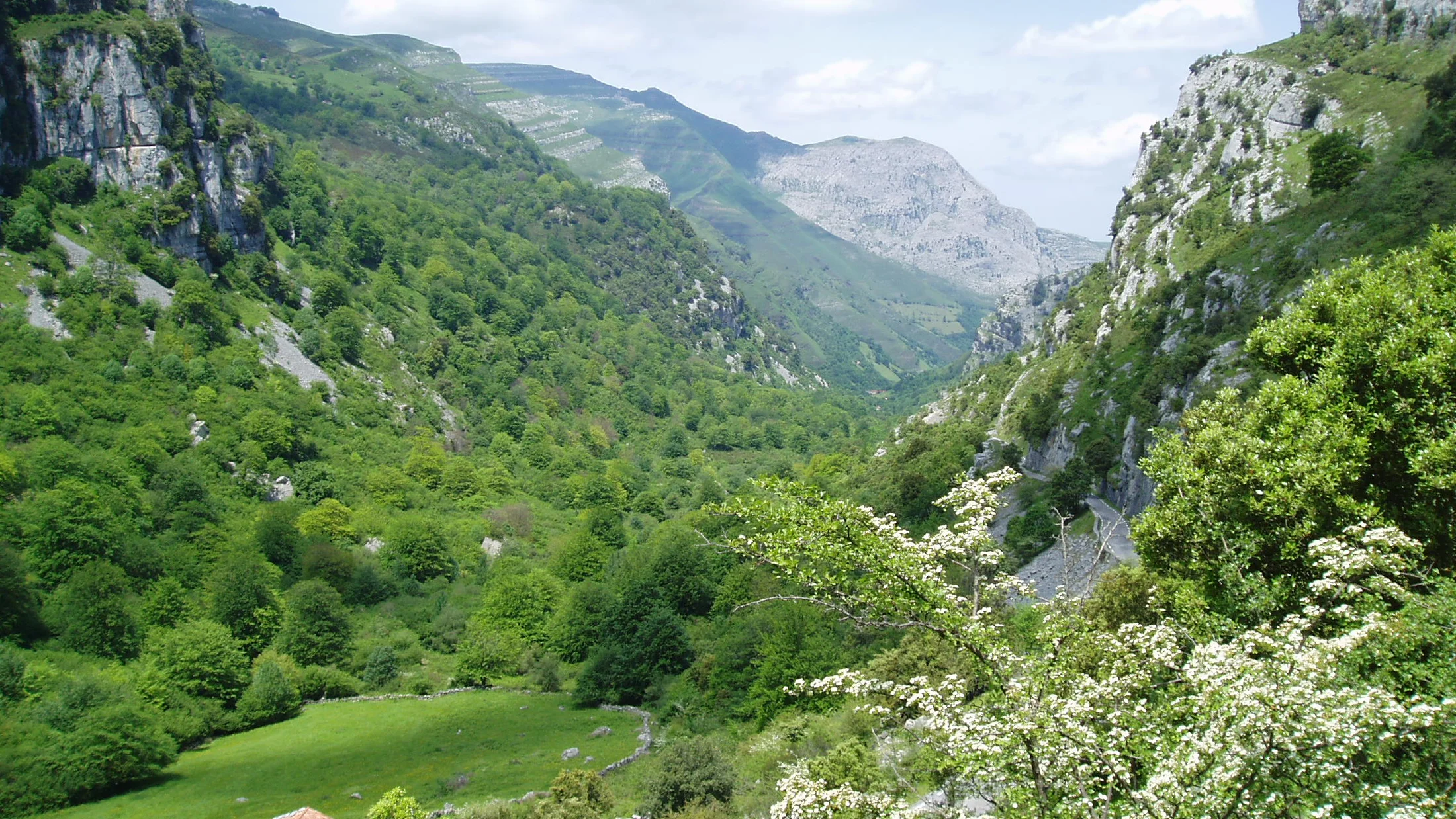 Imagen de Región: cmcjdd7m6006pik8p8rcwwlcn