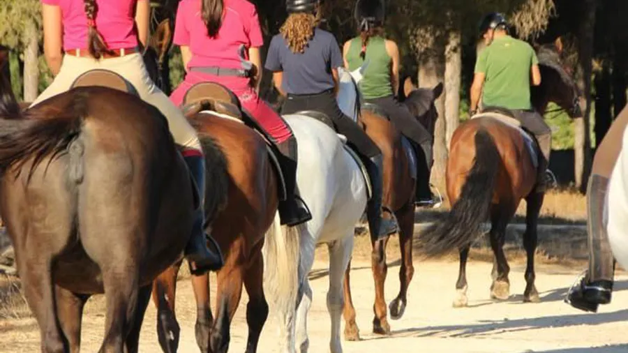Ruta a caballo por los pinares de Chiclana