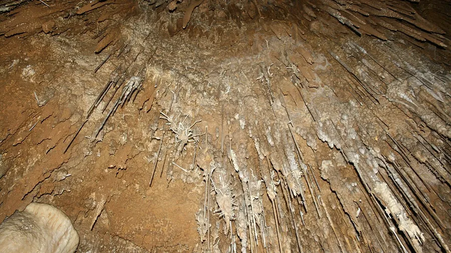 Imagen de Atracción: cmnnoyd2e019jekbe65elri3q