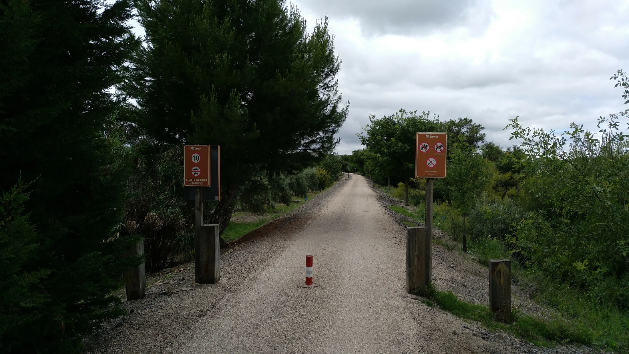 Vía Verde del Aceite atravesando el mar de olivos de Jaén y Córdoba