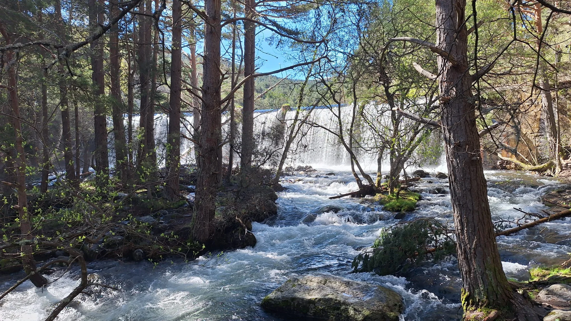 Imagen de Artículo de Blog: cmh3nlqrr006r12svke504fln