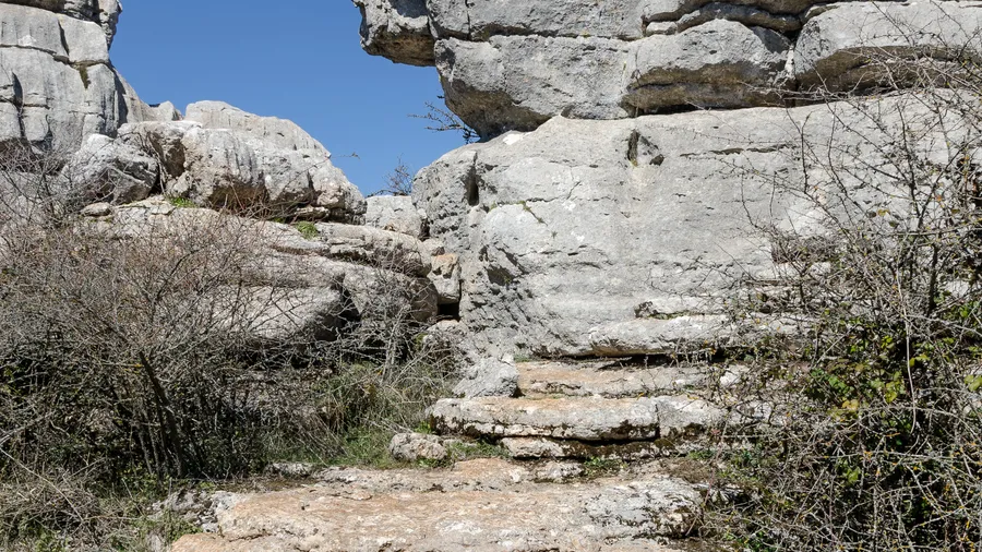 Imagen de Región: cmcjdd0hi0041ik8pu2it28yd