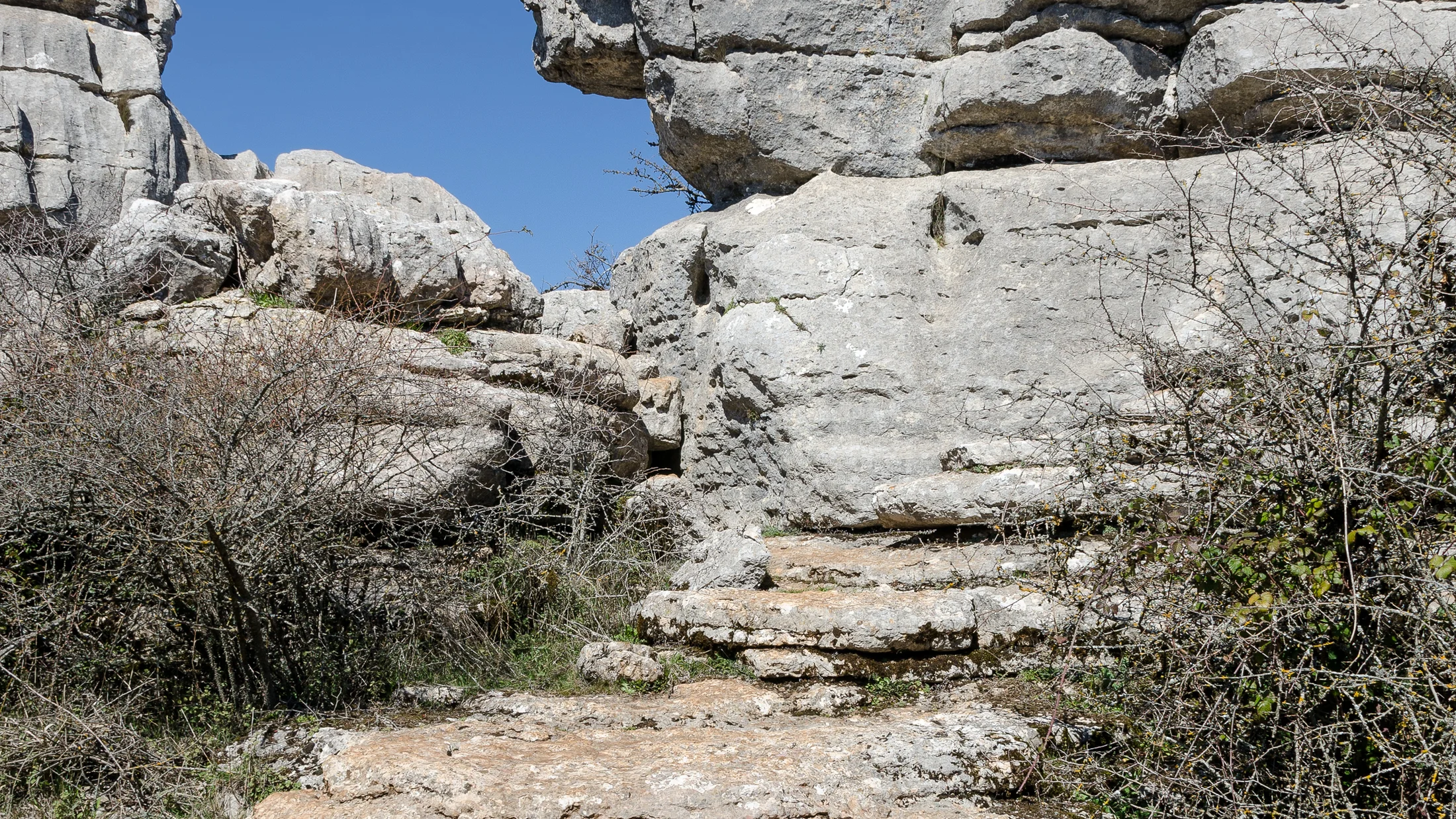 Imagen de Región: cmcjdd0hi0041ik8pu2it28yd