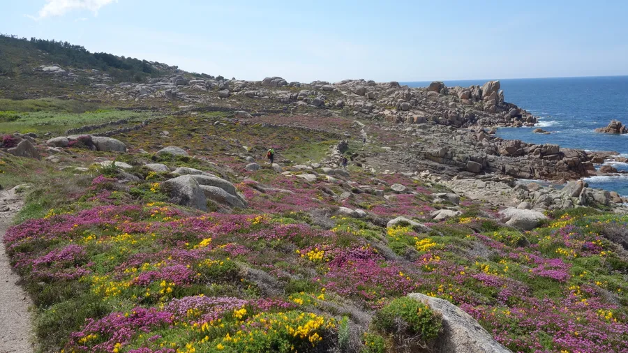 Imagen de Región: cmcjdd4wk005pik8pmbpd1drk