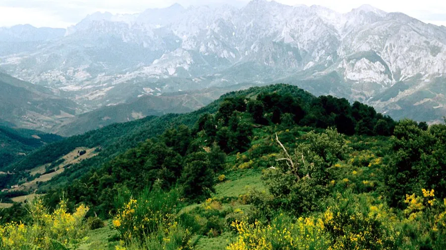 Cillorigo de Liébana