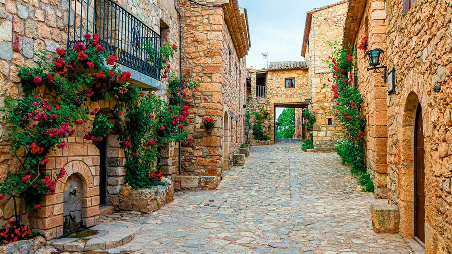 Imagen de Actividad: cmdylqnvz065d2xzhqwhdb74j