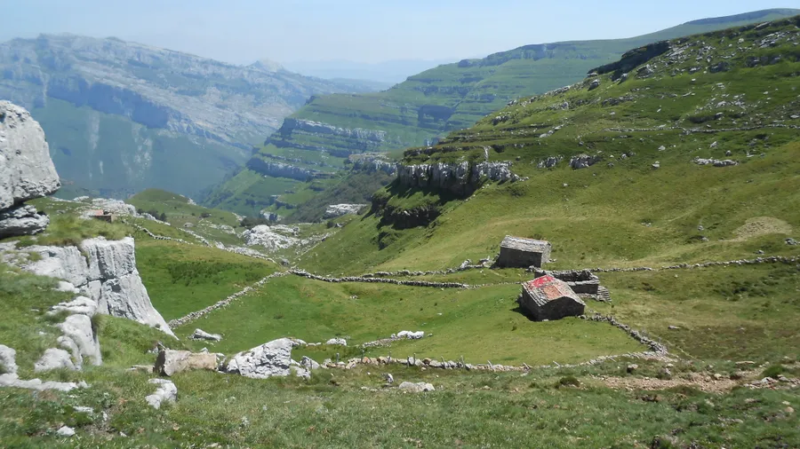 Imagen de Región: cmcjdd7m6006pik8p8rcwwlcn