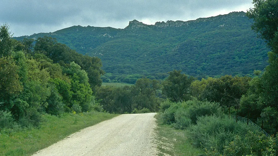 Parque Natural de los Alcornocales
