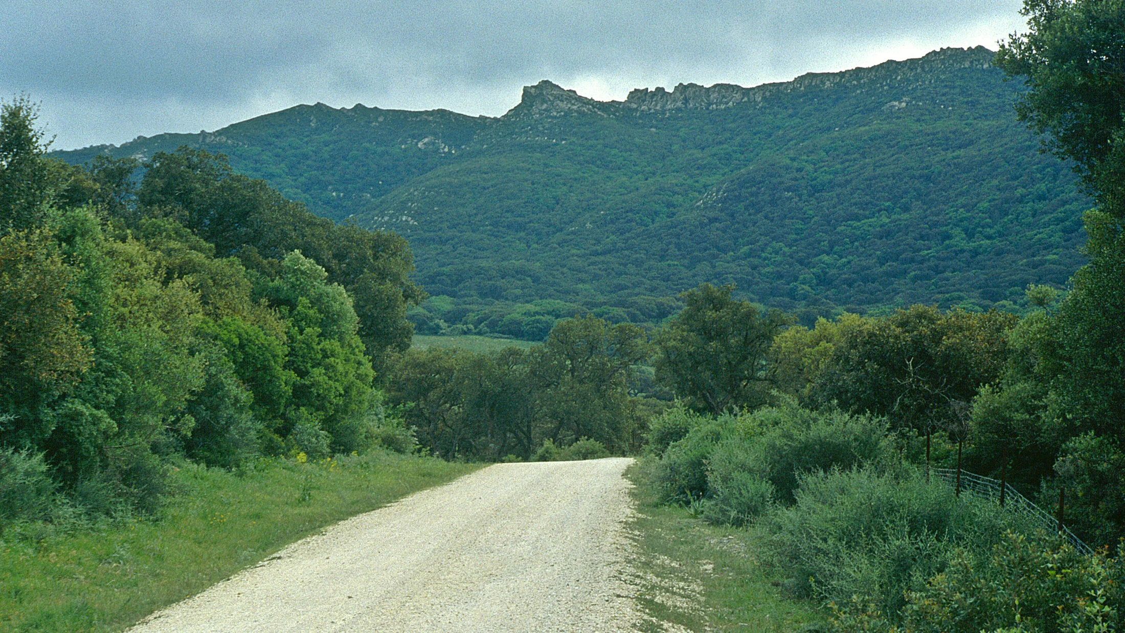 Imagen de Región: cmcjdczvy003tik8pjy5f7t75