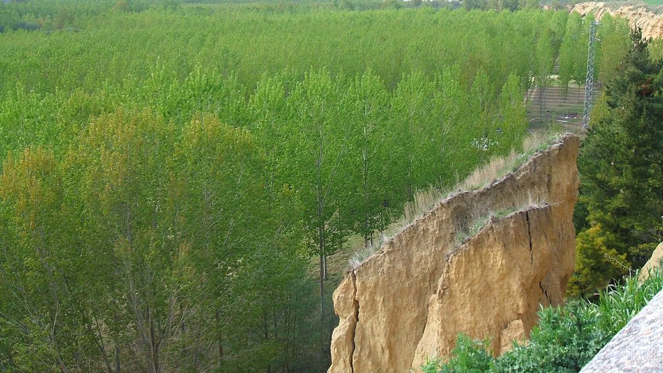 Carrión de los Condes