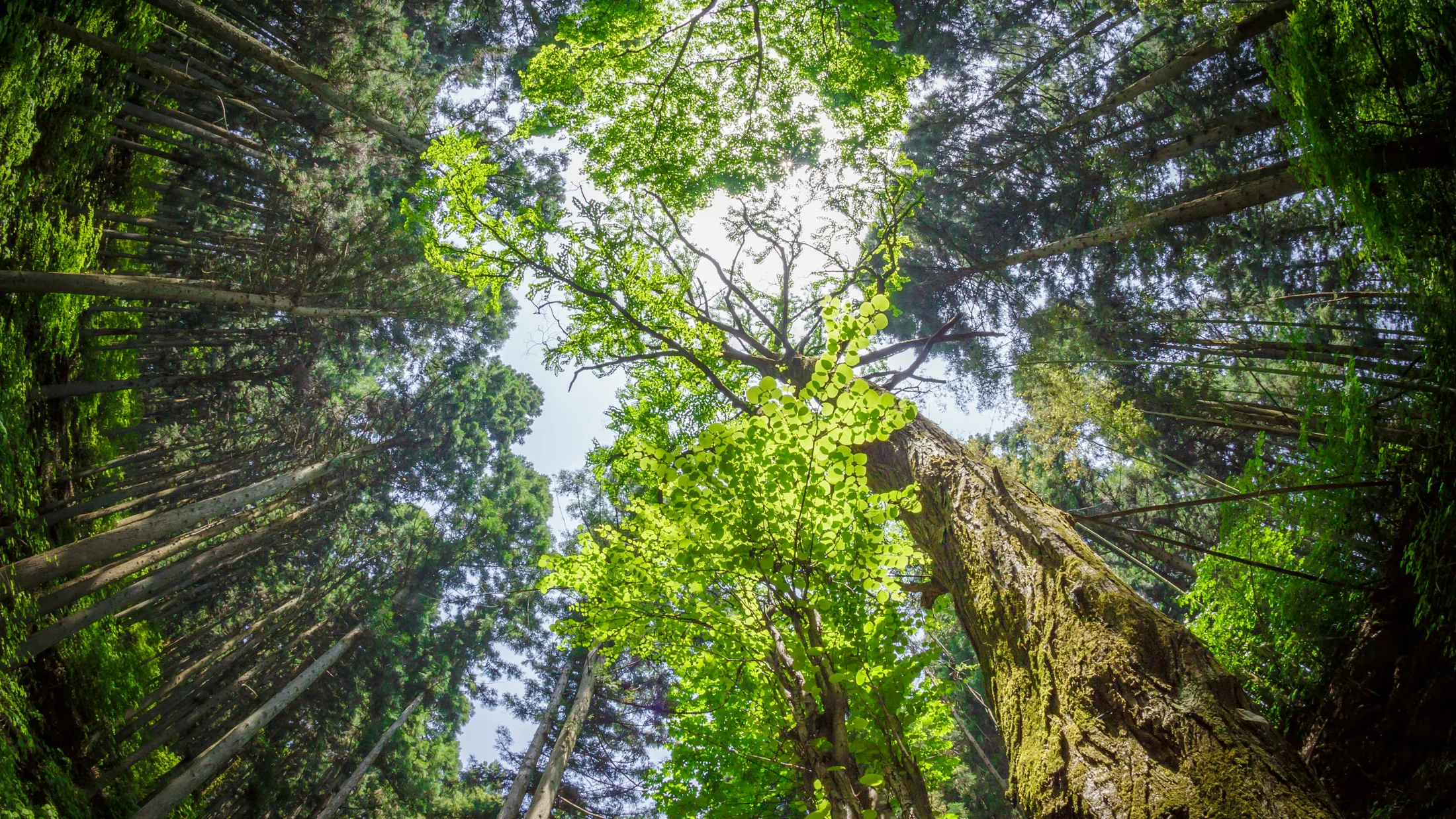 Imagen de Artículo de Blog: cmgz812y0007u9i0ucz7qci3r