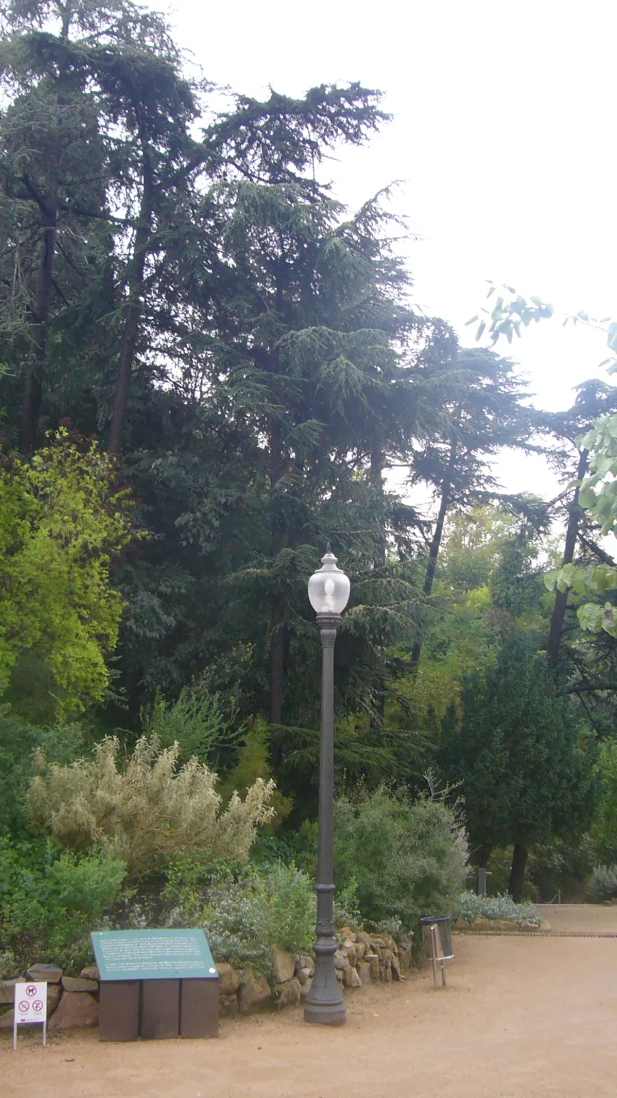 Barcelona Botanical Garden