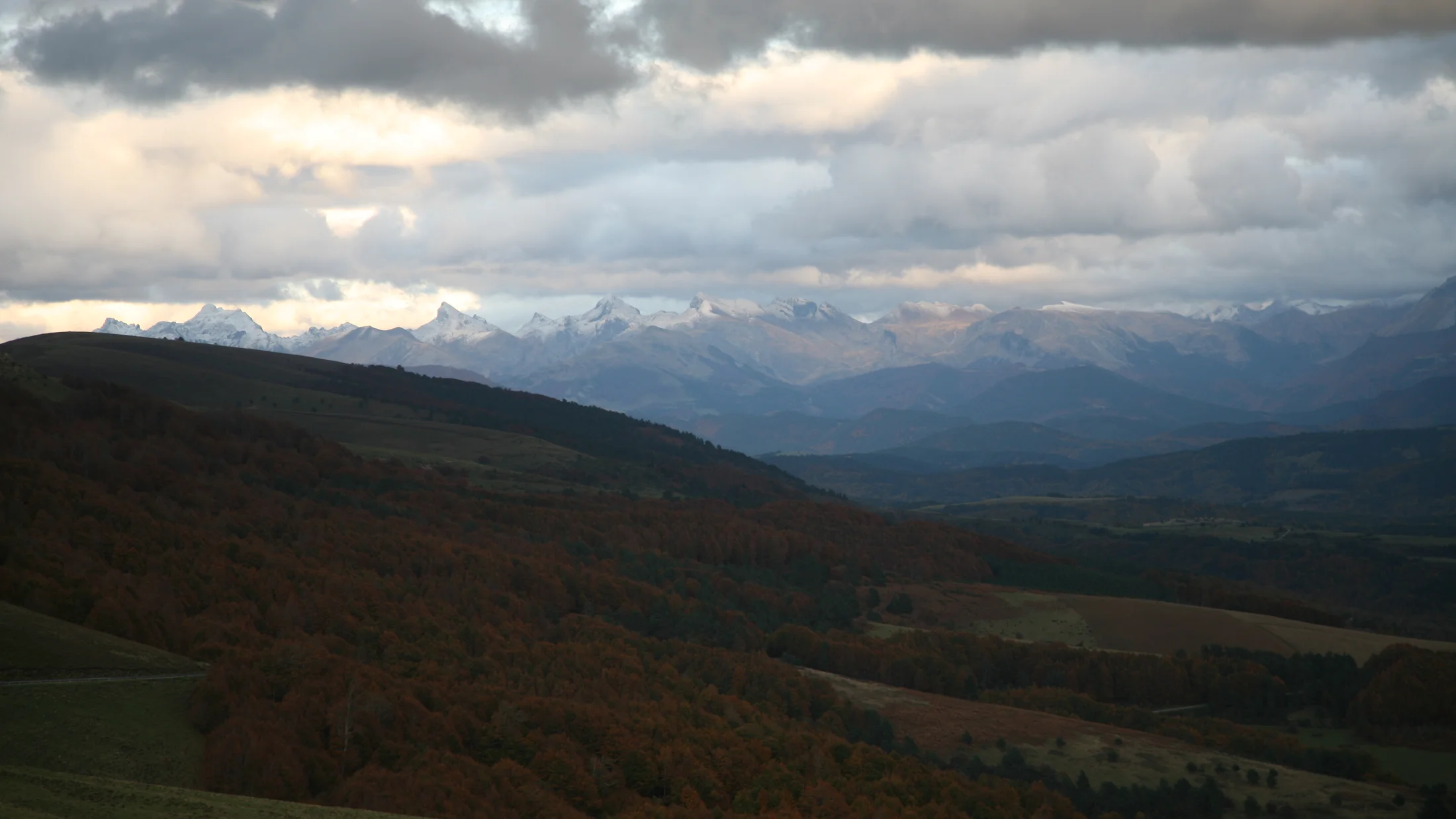 Imagen de Región: cmcnc9szo0hj9zr5pa7p0055i