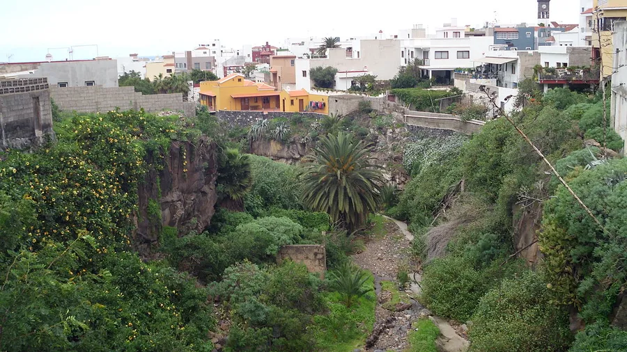 Buenavista del Norte