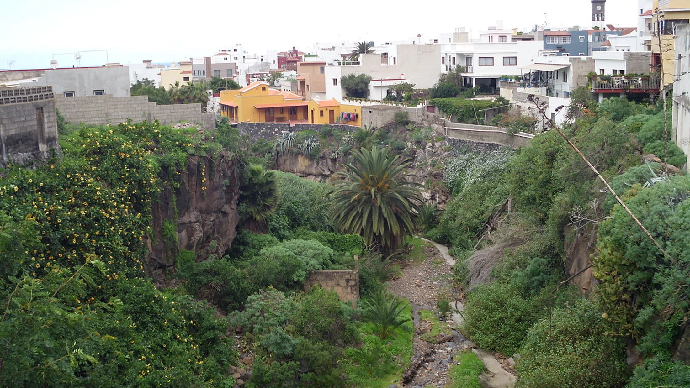 Buenavista del Norte