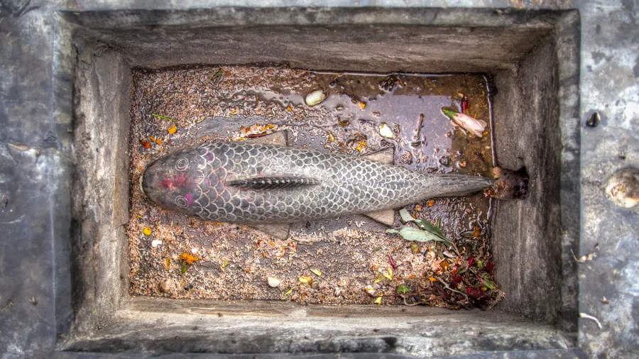 Mercado de la Piedra
