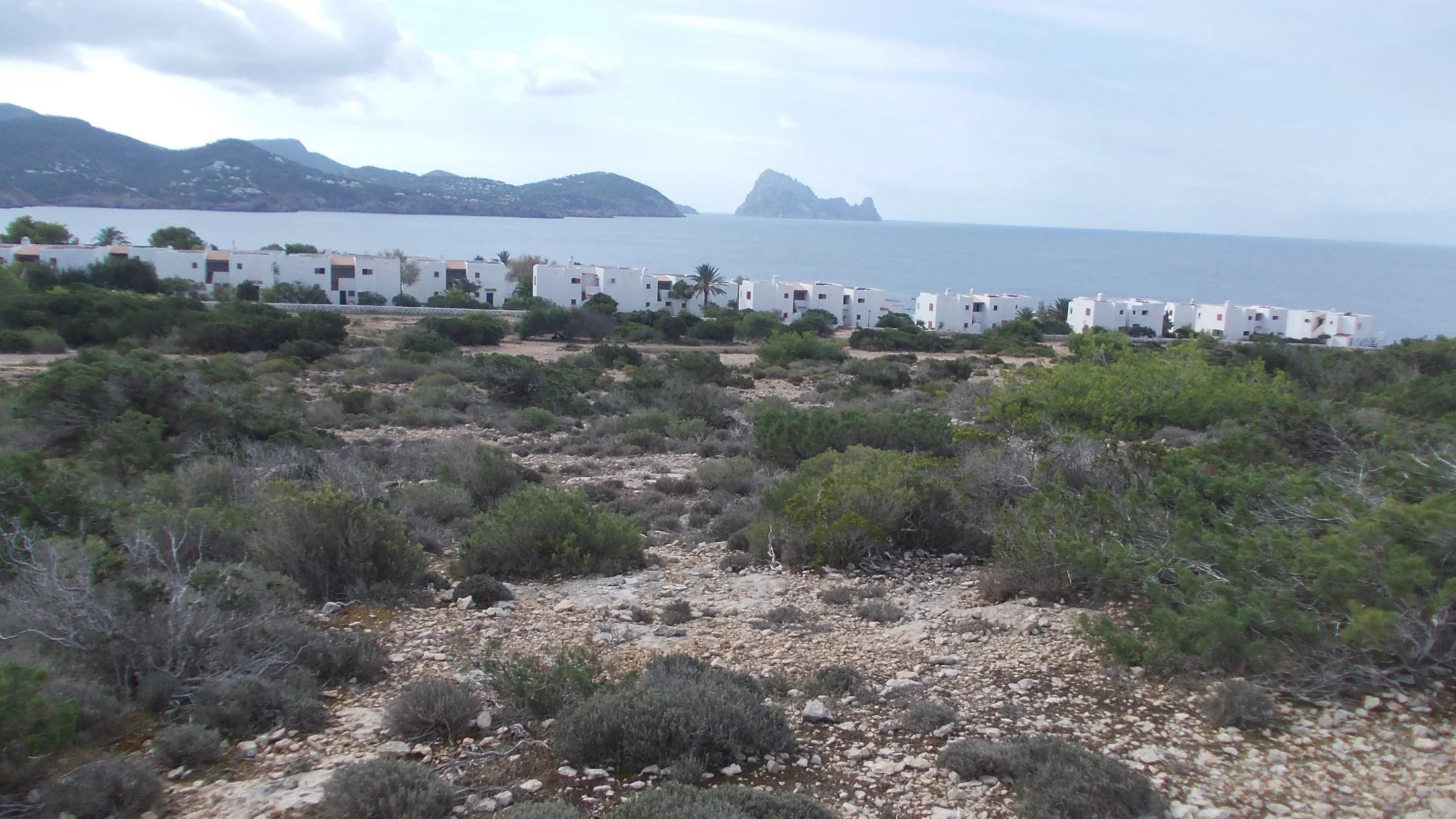 Imagen de Región: cmlexwjdl05lsoud4g7xpgf7l