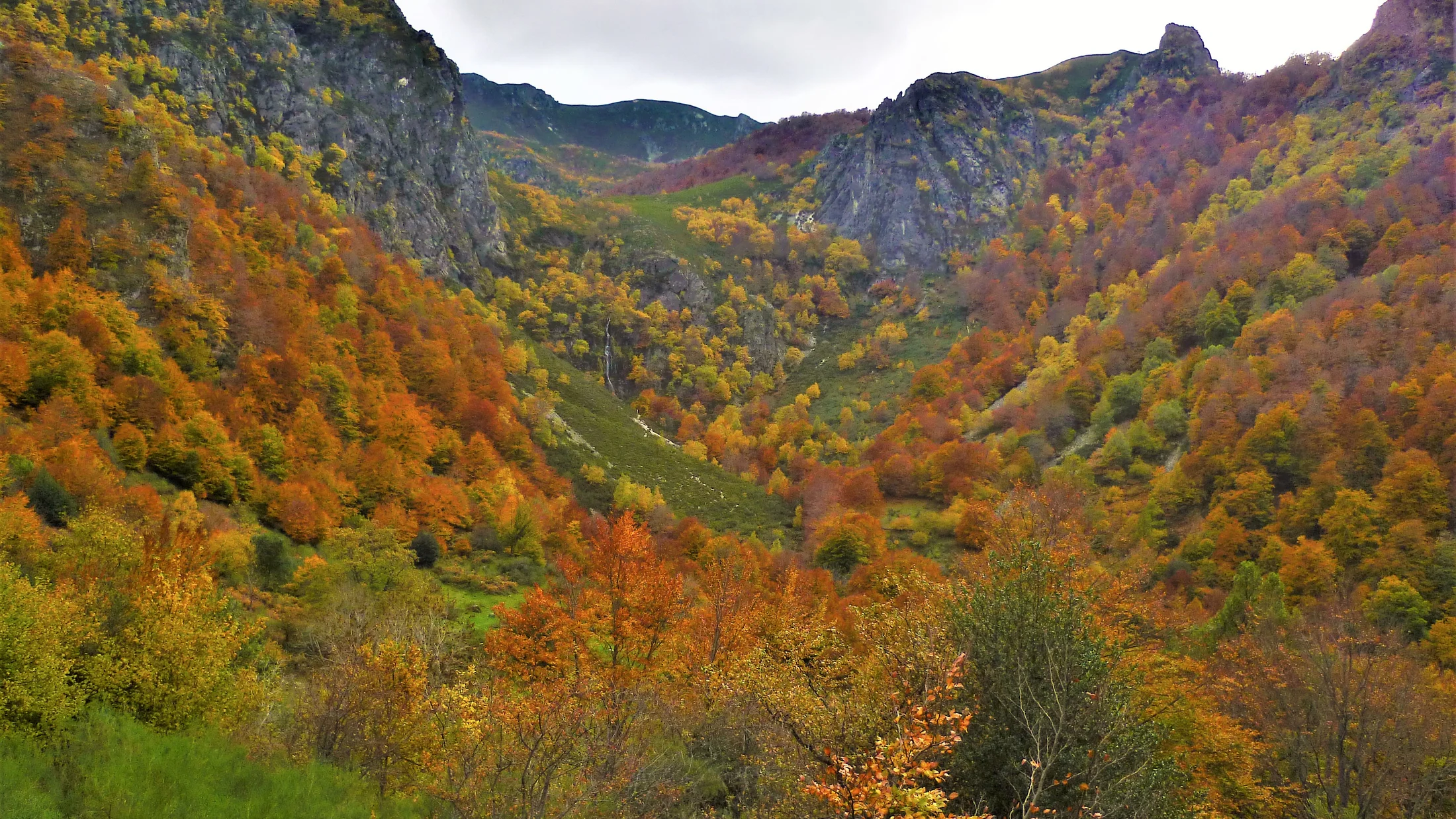 File:Parque Natural de Redes Asturias Spain.jpg